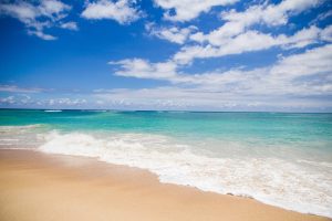 Savoring Paradise: A Culinary Journey Through Ambergris Caye