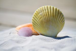 Sandy Toes and Gourmet Flavors: A Guide to San Pedro's Beachfront Dining