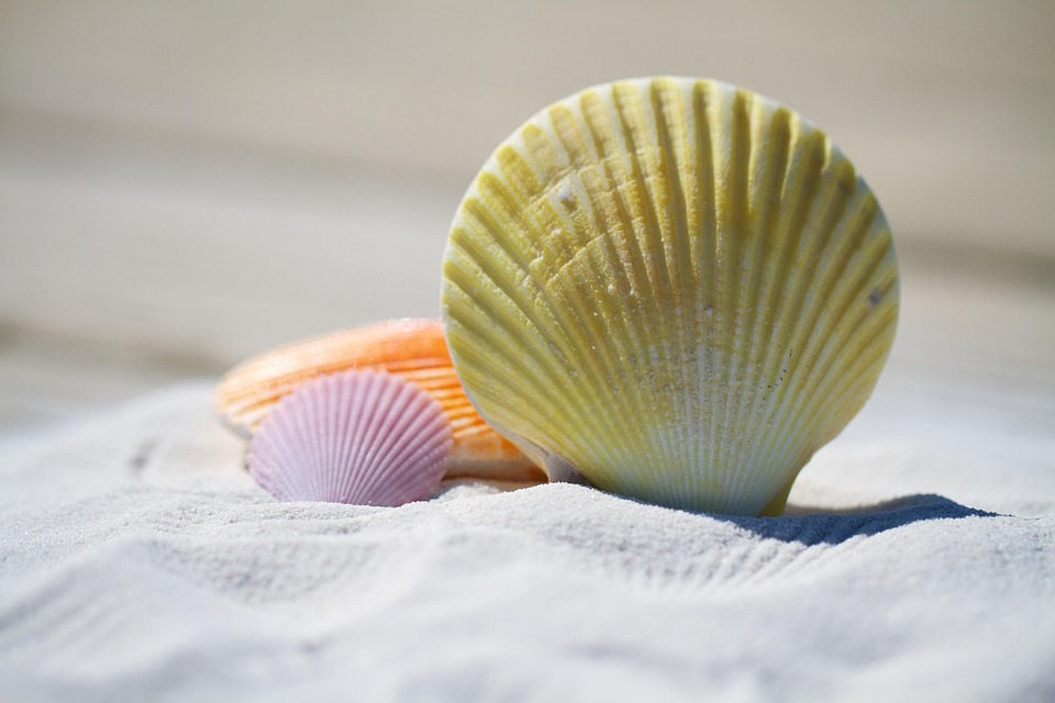 Sandy Toes and Gourmet Flavors: A Guide to San Pedro’s Beachfront Dining